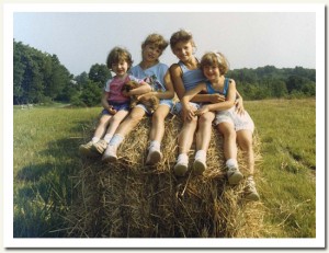 haybale haybale