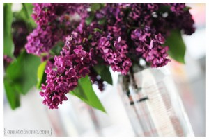 lilac1